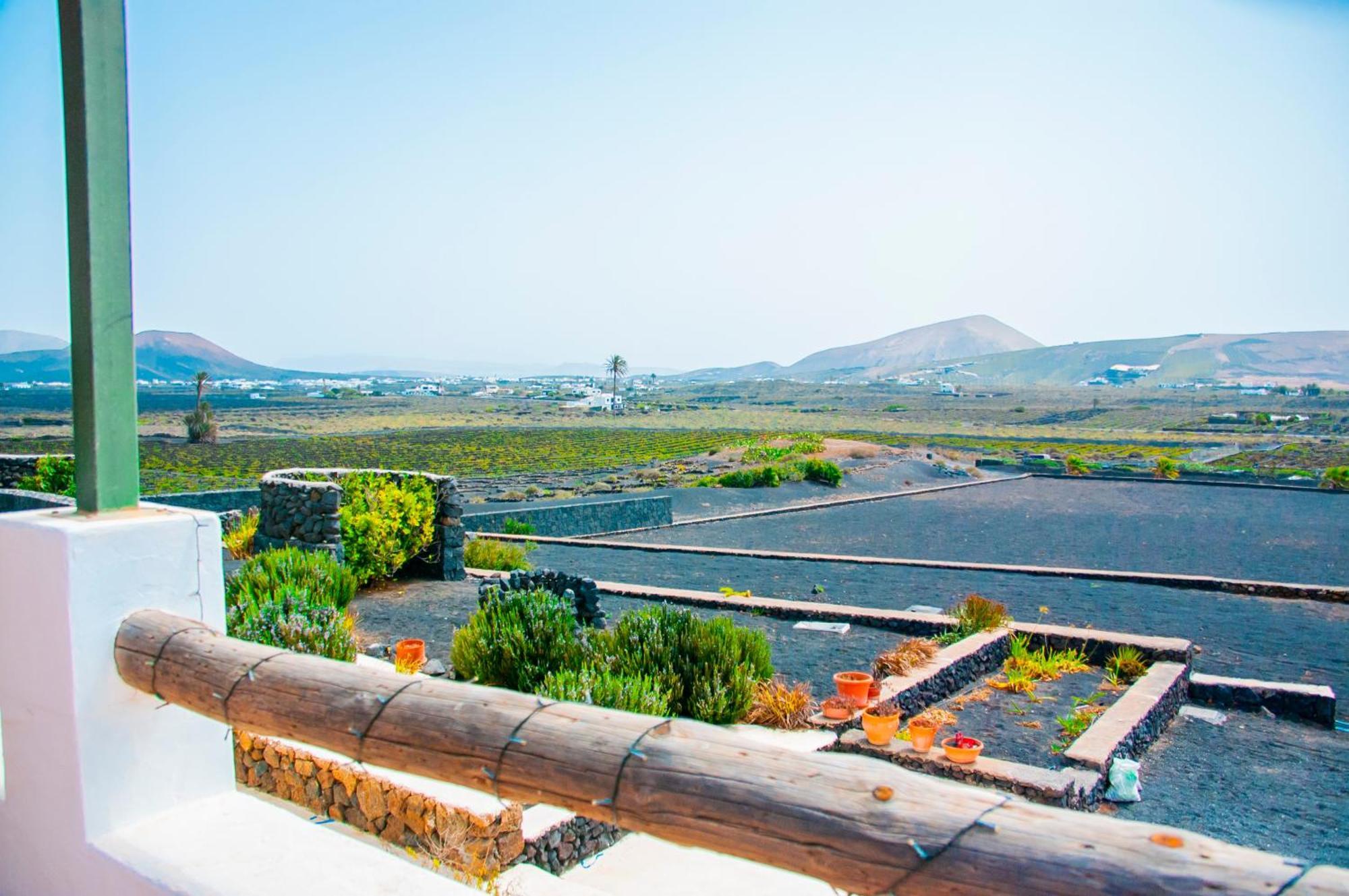 Villa Volcan Masdache 外观 照片